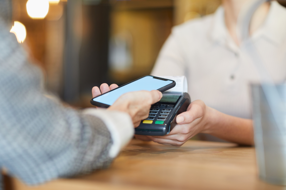 Decoding the Power of Inclusive and Instant Payment Systems (IIPS)